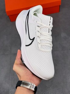 Pegasus 38登月系列