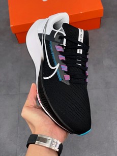 Pegasus 38登月系列