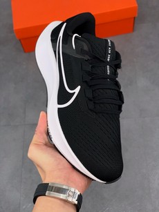 Pegasus 38登月系列