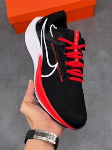 Pegasus 38登月系列