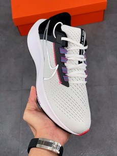 Pegasus 38登月系列