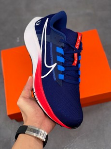 Pegasus 38登月系列