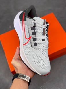 Pegasus 38登月系列