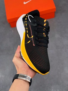 Pegasus 38登月系列