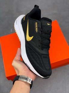 Pegasus 23 Turbo 登月飞马23代