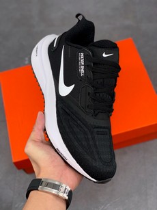 Pegasus 23 Turbo 登月飞马23代