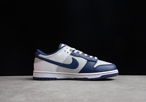 Dunk Low Nets篮网队