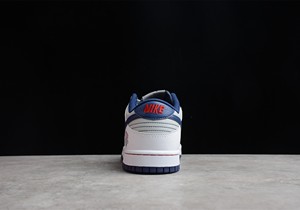 Dunk Low Nets篮网队